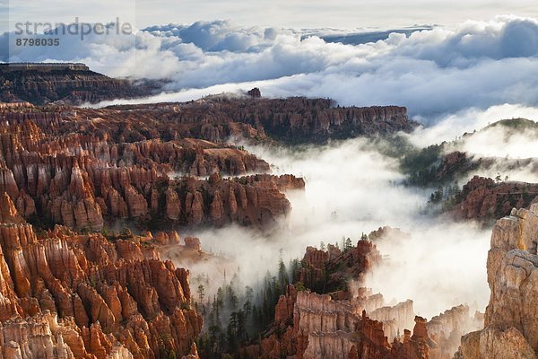 Vereinigte Staaten von Amerika  USA  Wolke  Nebel  Nordamerika  Temperatur  Hoodoo  erweiternd  Berggipfel  Gipfel  Spitze  Spitzen  Bryce Canyon Nationalpark  Utah