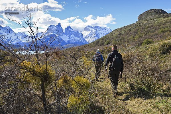 gehen  Reise  wandern  Ansicht  zeigen  Torres del Paine Nationalpark  Lake Pehoe  See  Chile  Patagonien  Südamerika