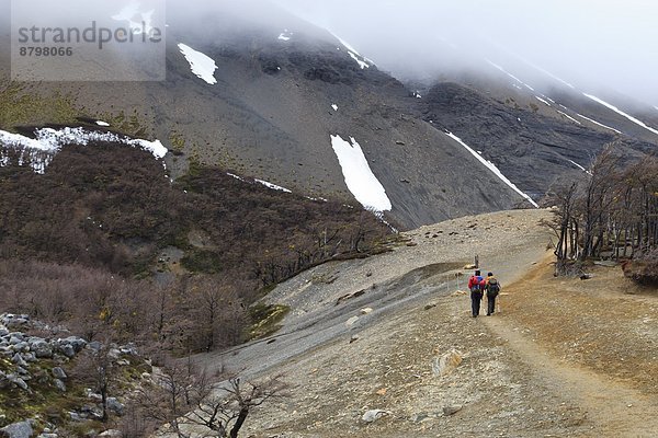 gehen  folgen  wandern  Torres del Paine Nationalpark  Chile  Patagonien  Südamerika