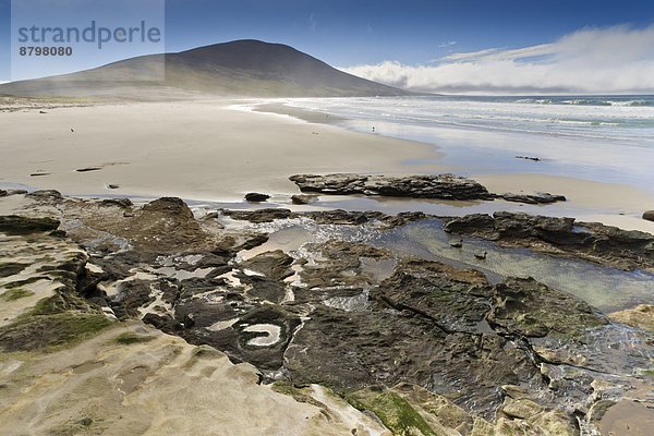 Strand  Paar  Paare  Ente  Falklandinseln  Südamerika
