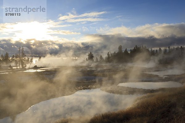 Vereinigte Staaten von Amerika  USA  Morgendämmerung  Nordamerika  UNESCO-Welterbe  Yellowstone Nationalpark  Wyoming