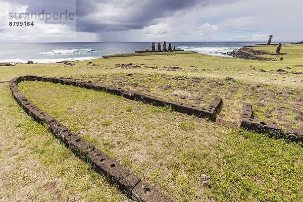 Osterinsel Rapa Nui Wohnhaus Ausgrabungsstätte Fundament Gründung Raps Brassica napus UNESCO-Welterbe Chile Moai Südamerika
