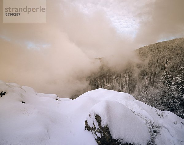 Europa  Schwarzwald  Deutschland