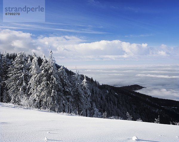 Europa  Schwarzwald  Deutschland