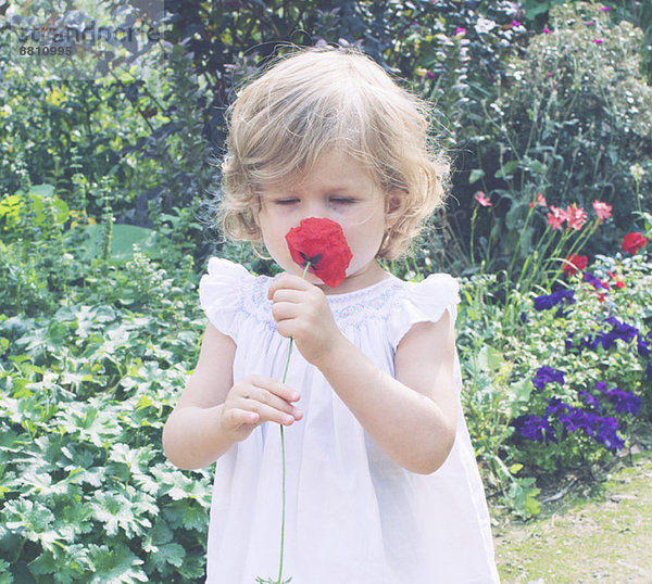 Kleines Mädchen riecht Blume