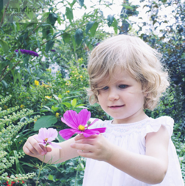 Kleines Mädchen pflückt Blumen