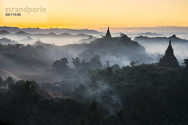 Pagoden umgeben von Bäumen  im Nebel  Mrauk U  Sittwe-Division  Rakhine Staat  Myanmar