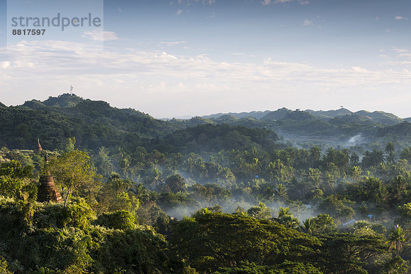 Pagoden umgeben von Bäumen  Nebel  Mrauk U  Sittwe-Division  Rakhine Staat  Myanmar