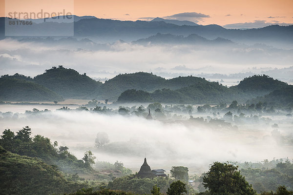 Pagoden und Tempel inmitten von Bäumen  im Nebel  Mrauk U  Sittwe-Division  Rakhaing Staat  Myanmar