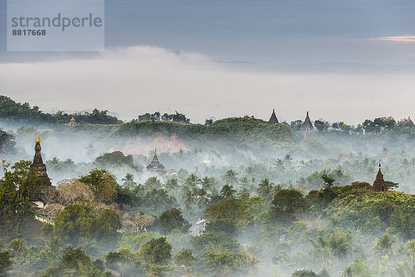 Pagoden und Tempel inmitten von Bäumen  im Nebel  Mrauk U  Sittwe-Division  Rakhaing Staat  Myanmar