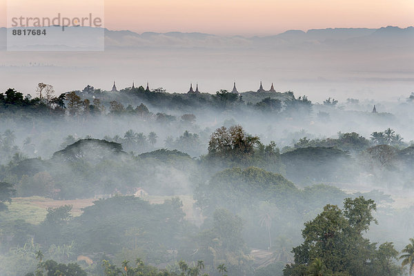 Pagoden und Tempel inmitten von Bäumen  im Nebel  Mrauk U  Sittwe-Division  Rakhaing Staat  Myanmar