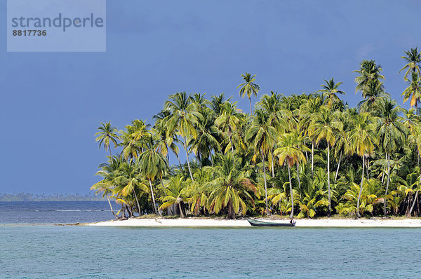 Tropische Insel mit Palmen  Cayos Los Grullos  Mamartupo  San-Blas-Inseln  Panama