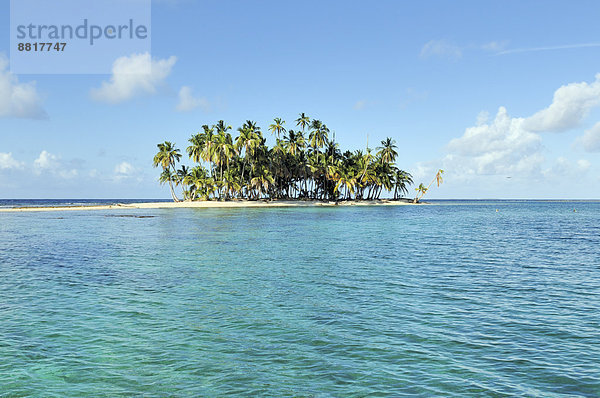 Tropische Insel mit Palmen  Cayos Los Grullos  Mamartupo  San-Blas-Inseln  Panama