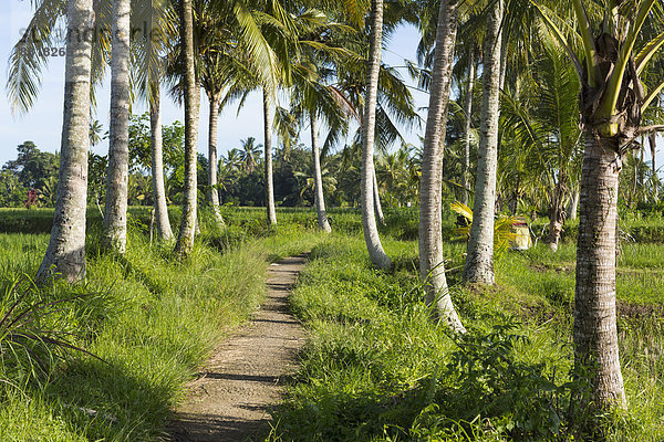 Indonesien  Ubud