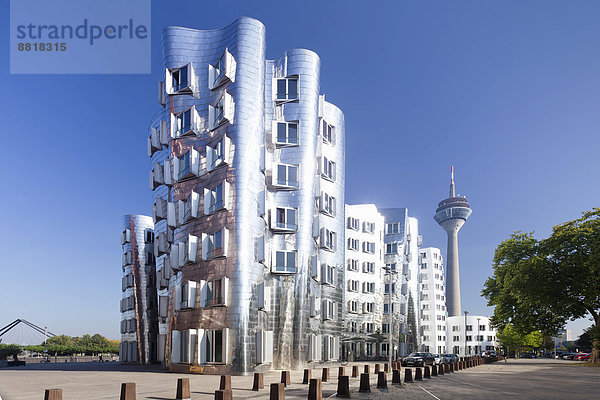 Neuer Zollhof  Gehry-Bauten und Rheinturm am Medienhafen  Düsseldorf  Nordrhein-Westfalen  Deutschland