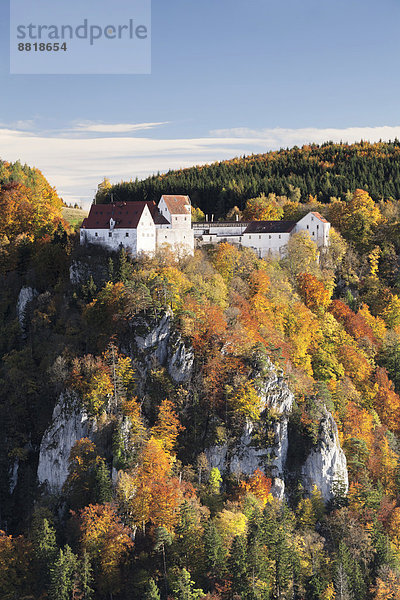 Ausblick über den Donaudurchbruch auf Burg Wildenstein  Naturpark Obere Donau  Schwäbische Alb  Baden-Württemberg  Deutschland