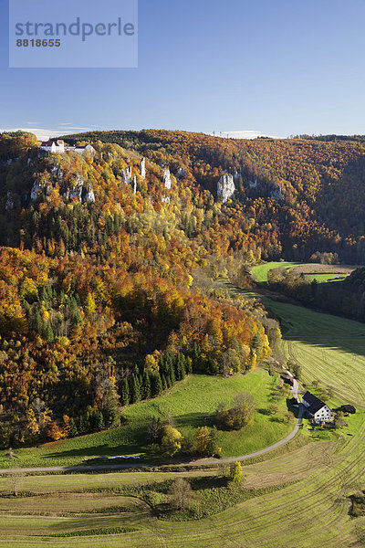 Ausblick über den Donaudurchbruch auf Burg Wildenstein  Naturpark Obere Donau  Schwäbische Alb  Baden-Württemberg  Deutschland