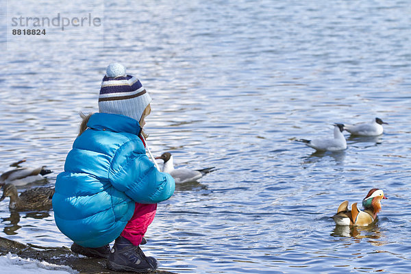 Mädchen füttert Enten im Winter