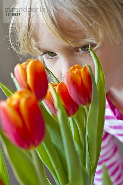 Gesicht eines Mädchens hinter Tulpen