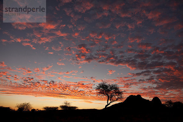 Farbiger Sonnenuntergangshimmel an der Spitzkoppe  Namibia