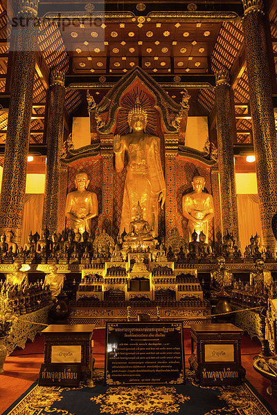 Goldener Buddha des Wat Chedi Luang Tempel  Chiang Mai  Nordthailand  Thailand