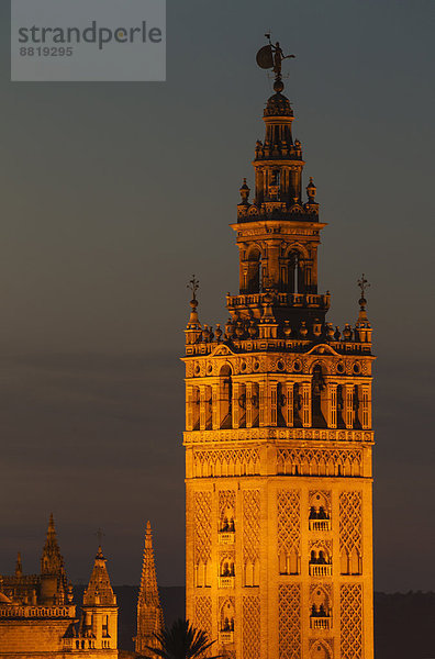Giralda  Glockenturm der Kathedrale von Sevilla  beleuchtet in der Abenddämmerung  Sevilla  Andalusien  Spanien
