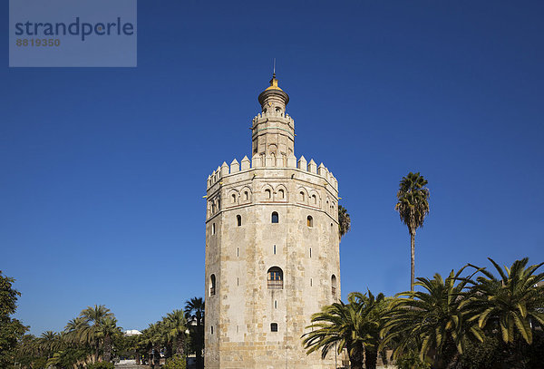 Der Torre del Oro  Sevilla  Sevilla  Andalusien  Spanien