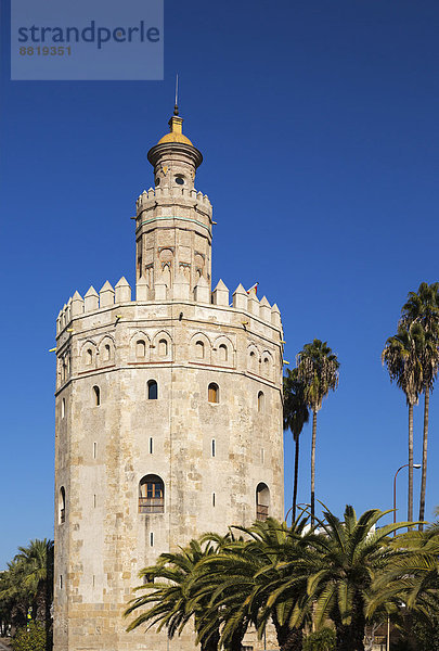 Der Torre del Oro  Sevilla  Sevilla  Andalusien  Spanien