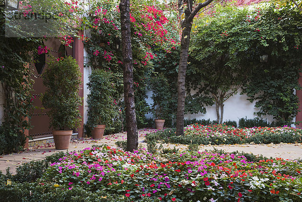Herrenhaus Veranda grün Provinz Sevilla Andalusien Sevilla Spanien