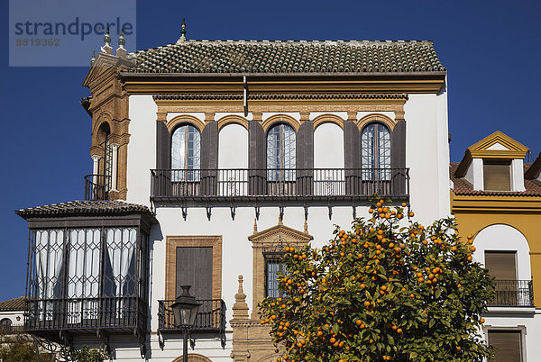 Lifestyle Gebäude Zitrusfrucht Traurigkeit Provinz Sevilla Andalusien Residenz Sevilla Spanien