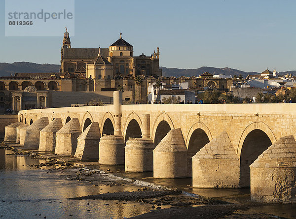 Puente Romano  Brücke über den Fluss Guadalquivir mit der Mezquita hinten  Córdoba  Andalusien  Spanien