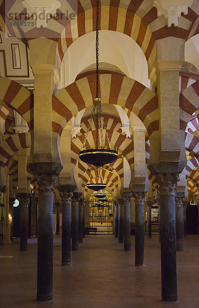 Säulenwald in der Mezquita  Córdoba  Andalusien  Spanien