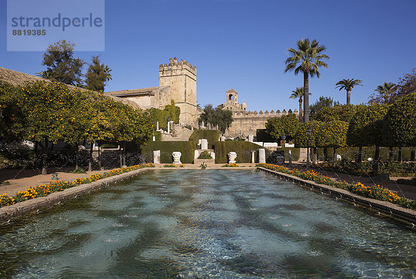 Gärten des Alcázar de los Reyes Cristianos  Córdoba  Andalusien  Spanien