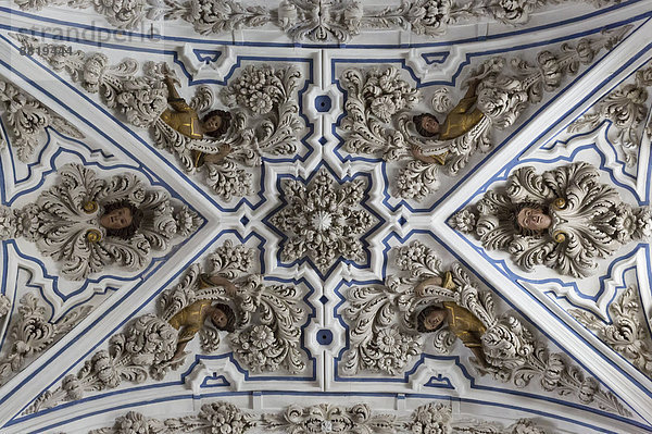 Üppige barocke Stuckarbeiten an der Decke der Aurora-Kirche  Priego de Córdoba  Provinz Córdoba  Andalusien  Spanien