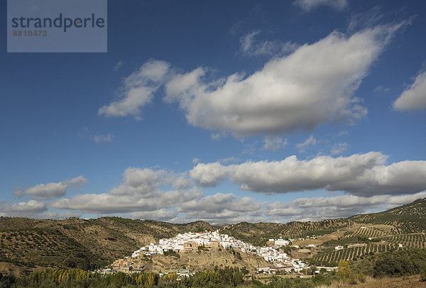 Stadt weiß Andalusien Spanien