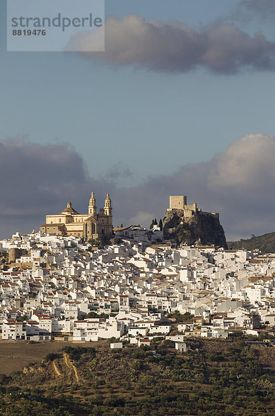 Palast Schloß Schlösser Stadt weiß Berggipfel Gipfel Spitze Spitzen Kirche Andalusien maurisch Olvera Spanien