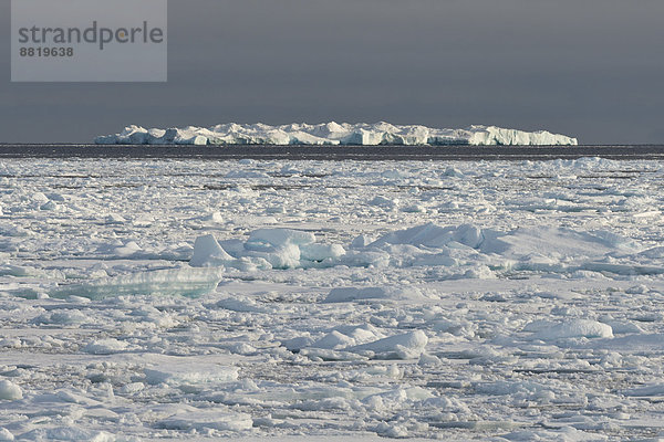 Eisberg  Packeis  Packeisgrenze  Arktischer Ozean  Insel Spitzbergen  Inselgruppe Spitzbergen  Svalbard und Jan Mayen  Norwegen