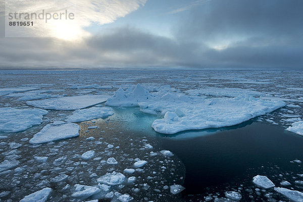 Eisschollen  Packeisgrenze  Arktischer Ozean  Insel Spitzbergen  Inselgruppe Spitzbergen  Svalbard und Jan Mayen  Norwegen