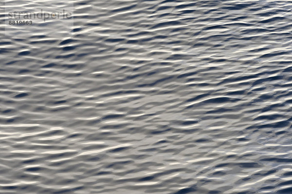 Kleine Wellen  Meeresoberfläche  Arktischer Ozean  Insel Spitzbergen  Inselgruppe Spitzbergen  Svalbard und Jan Mayen  Norwegen