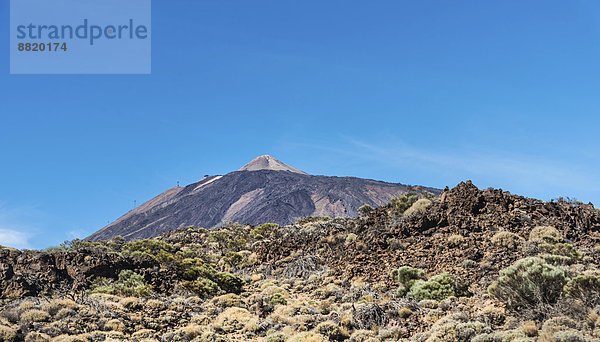 Vulkanlandschaft  mit Sträuchen bewachsene Hochebene Llano de Ucanca mit Pico del Teide  3718m  Parque Nacional de las Cañadas del Teide  Teide-Nationalpark  UNESCO Weltnaturerbe  Teneriffa  Kanarische Inseln  Spanien