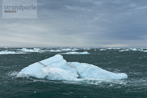 Eisberge treiben auf dem Meer vor Nordaustlandet  Spitzbergen Inselgruppe  Svalbard und Jan Mayen  Norwegen