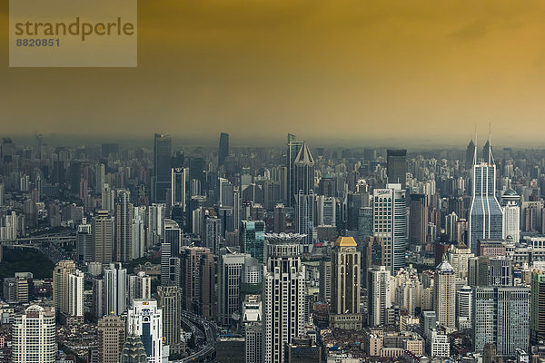 Hochhäuser  vom Tsing Mao Tower  Shanghai  China