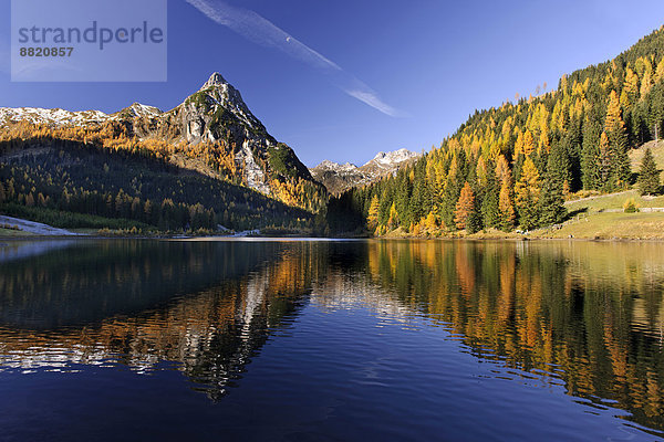 Herbstlich verfärbte Bäume spiegeln sich im See  Lungau  Riedingtal  Österreich