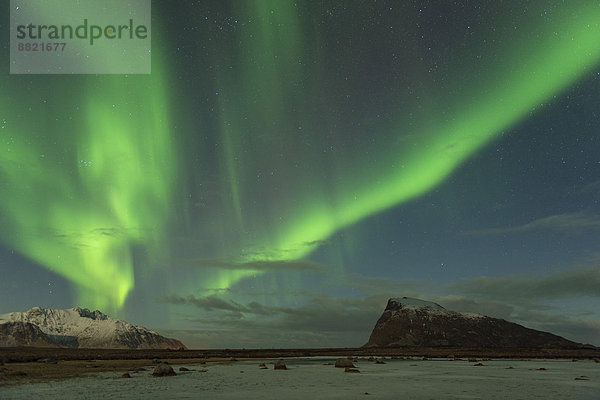 Landschaft  Polarlicht  Lofoten  Norwegen
