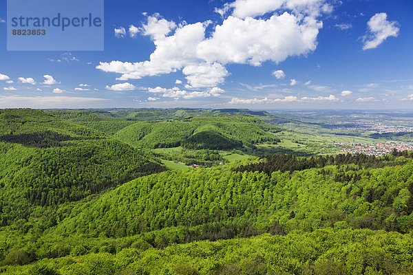 Ausblick vom Rossbergturm zum Albtrauf bei Mössingen  Schwäbische Alb  Baden-Württemberg  Deutschland