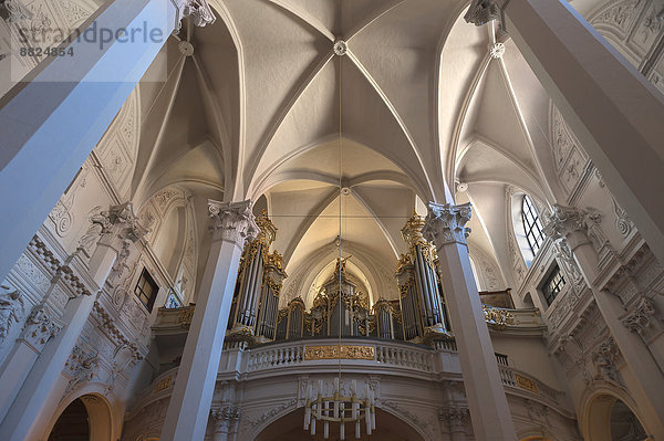 Deckengewölbe mit Orgelempore  Kirche am Hof  Anfang 17. Jhd.  Wien  Land Wien  Österreich