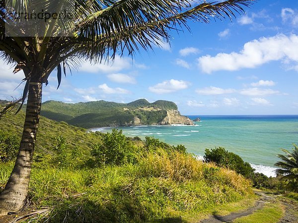 Karibik  Antillen  St. Lucia  Fond d'Or Bay bei Dennery'.