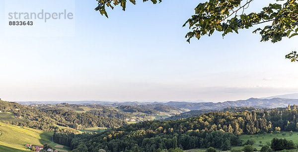 Blick von der österreichischen Grenze auf slowenische Weinberge