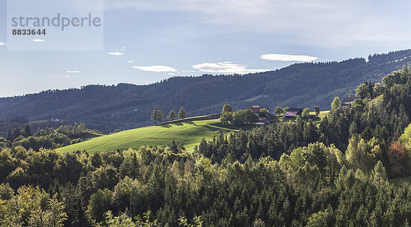 Österreich  Südsteiermark  Landschaft am frühen Morgen