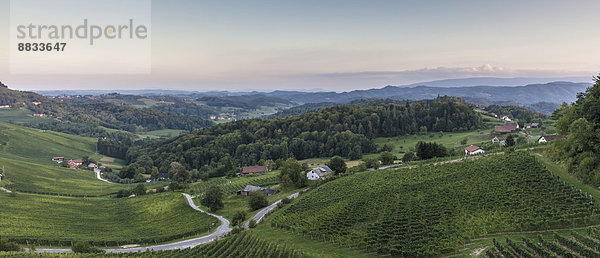 Blick von der österreichischen Grenze auf slowenische Weinberge